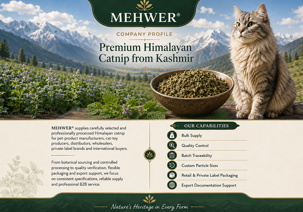 Company Profile